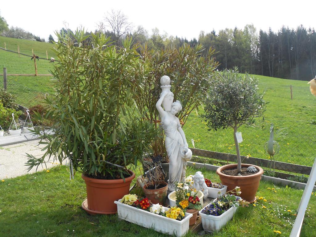 Privatzimmer Haus Gschweitl Semriach المظهر الخارجي الصورة
